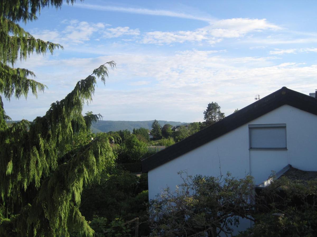 Ferienwohnung Haus am Weinberg Erzingen Exterior foto